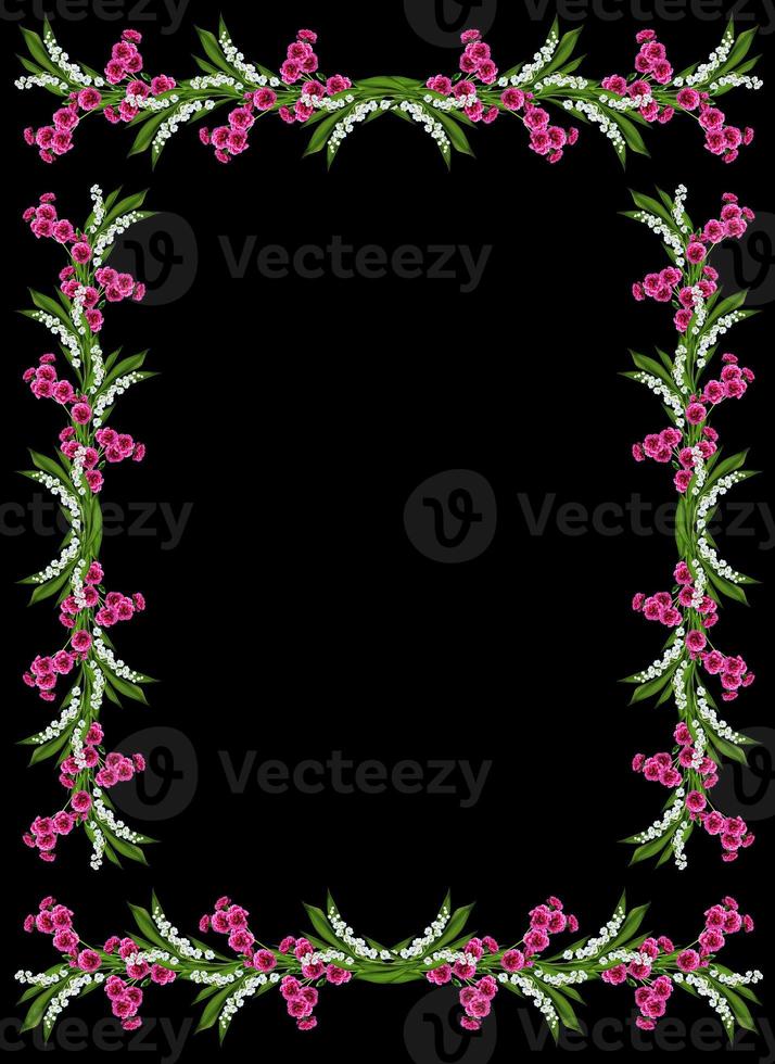 carnation isolated on black background photo