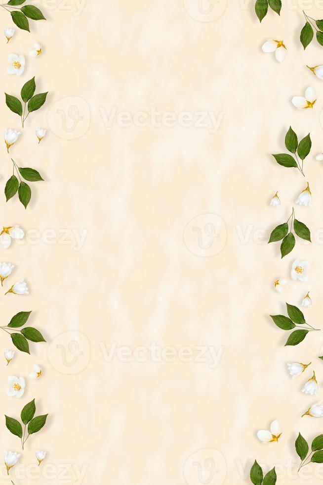 Twig bright white jasmine flowers. Spring composition. photo