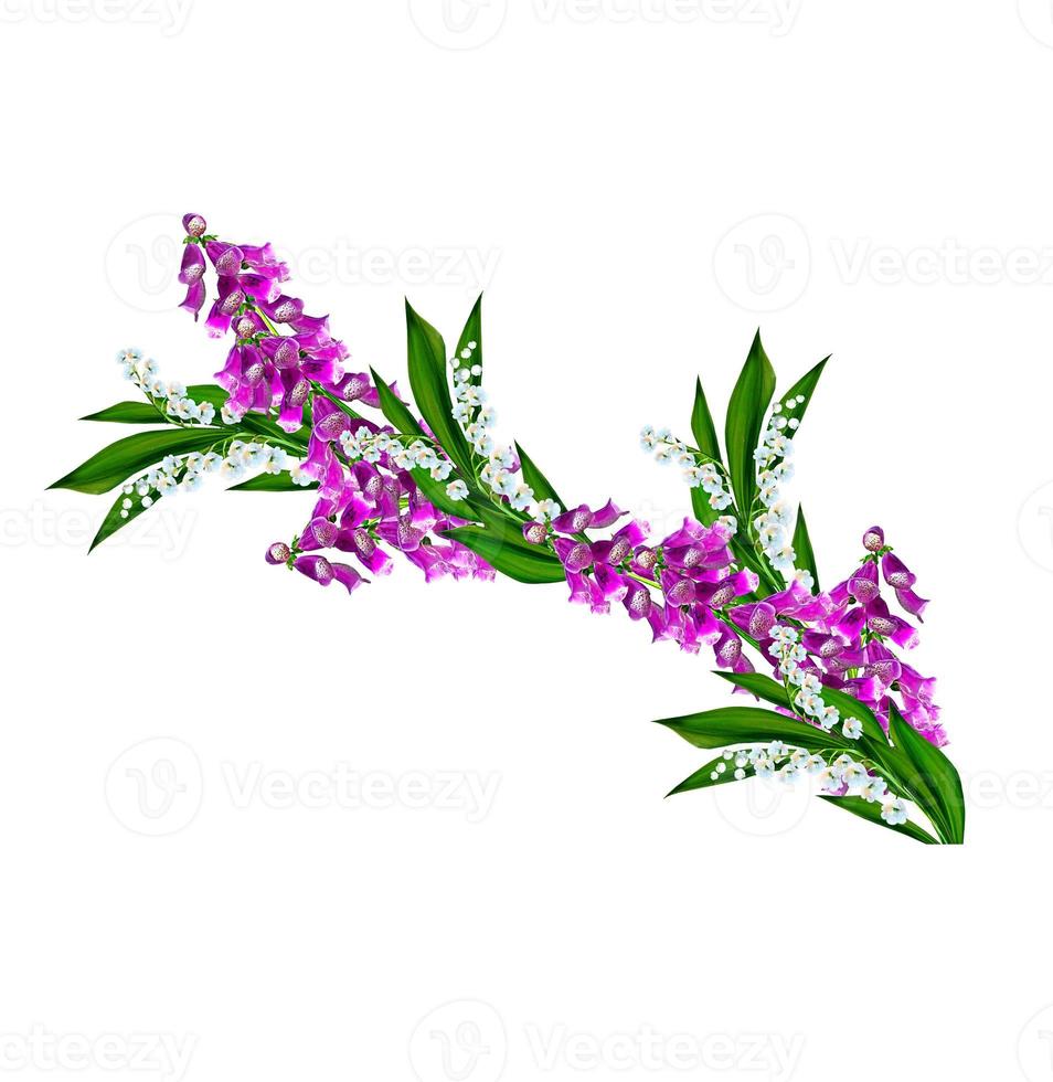 campanula flowers branch isolated on white background. photo