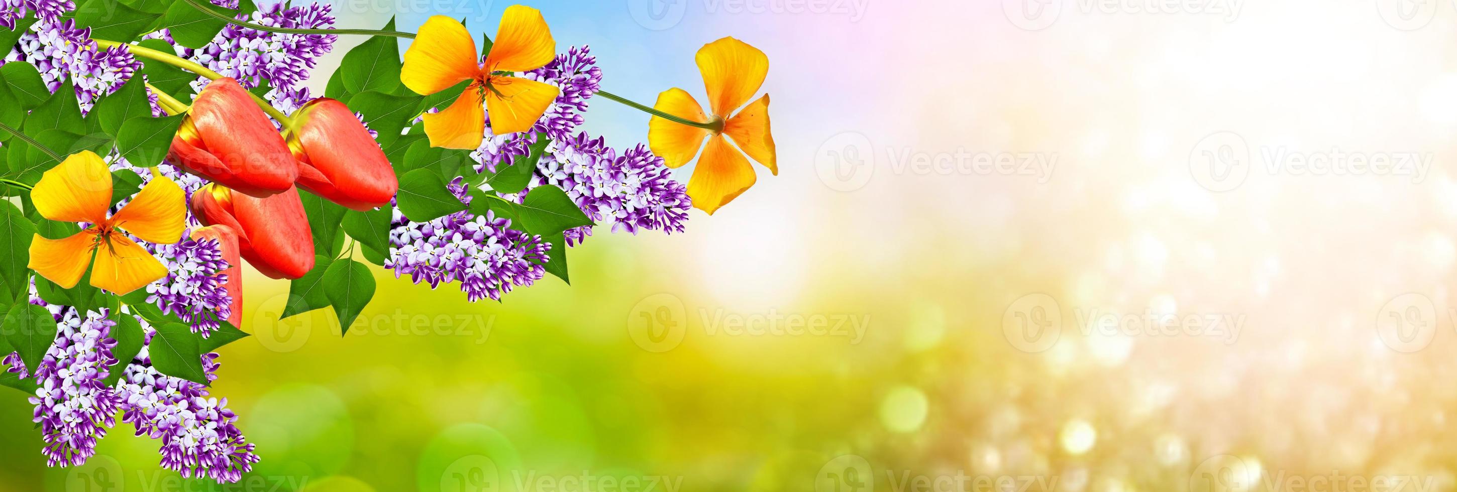 ramos de flores de color lila foto