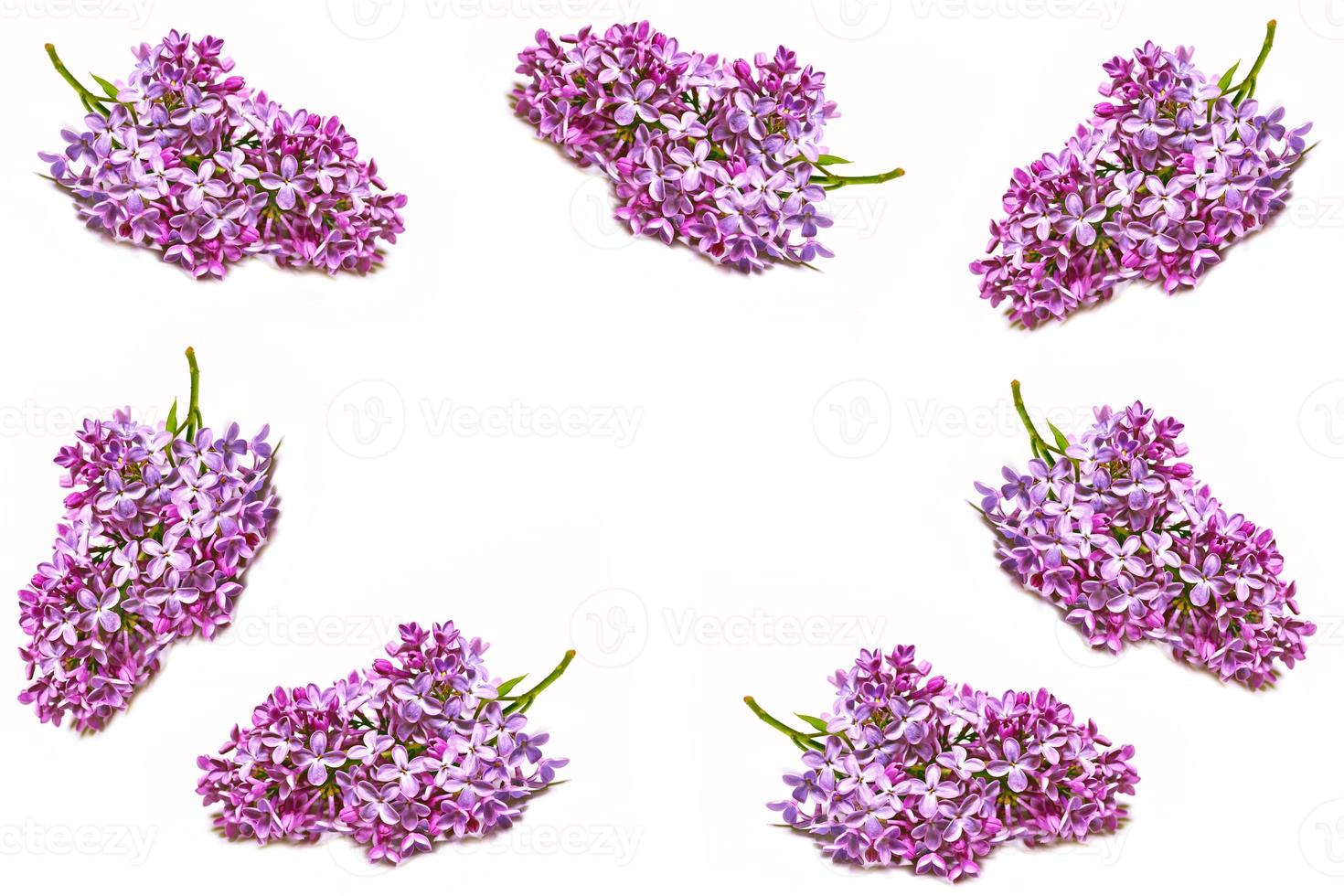 Branch of bright and colorful spring flowers photo