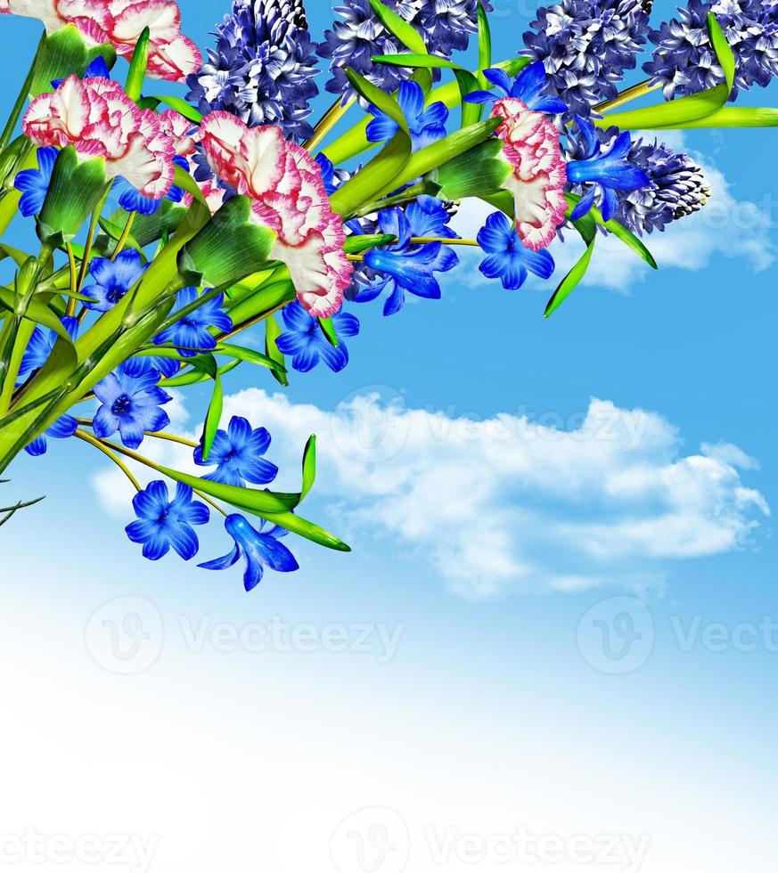flores sobre un fondo de cielo azul con nubes 10026502 Foto de stock en  Vecteezy