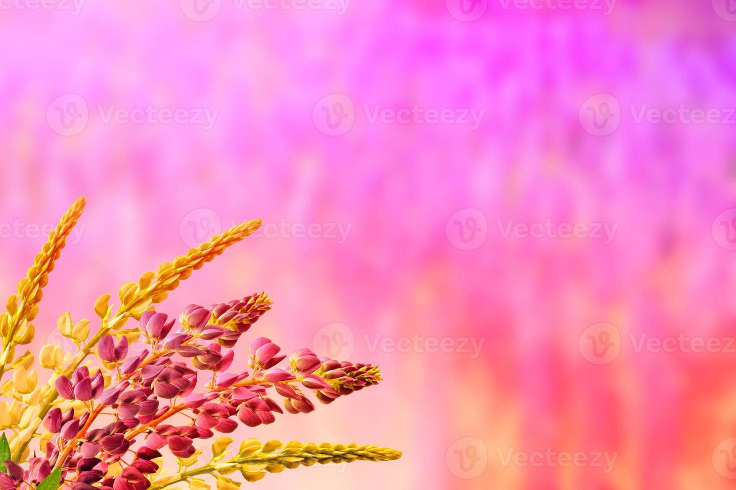 Blurred natural floral background. photo