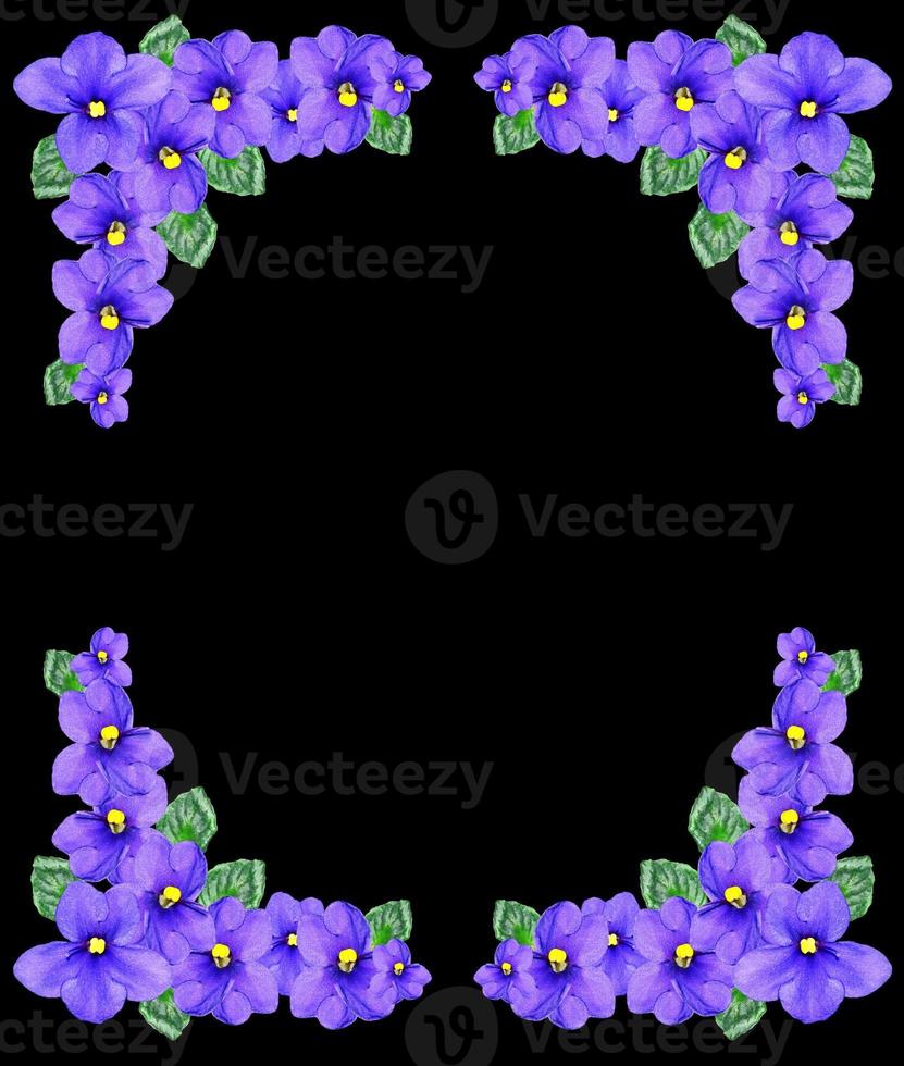 Bouquet of colorful flowers of violets. photo