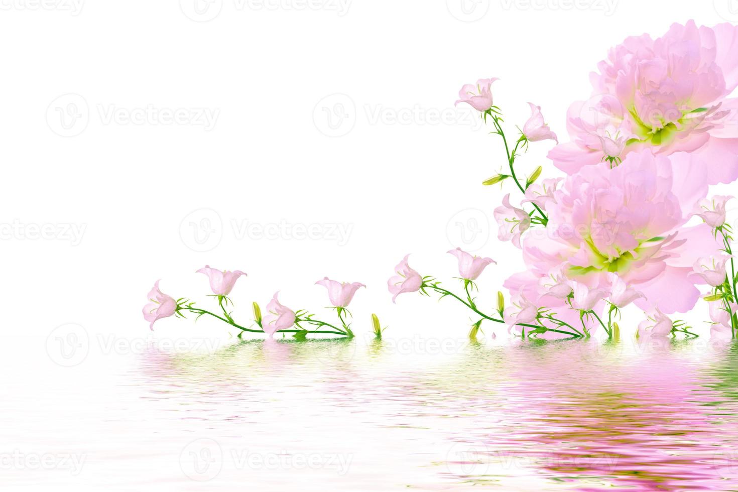 Floral natural background of bright colorful flowers photo