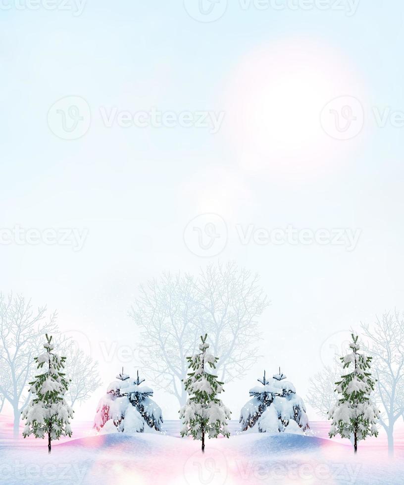 Winter forest. Winter landscape. photo
