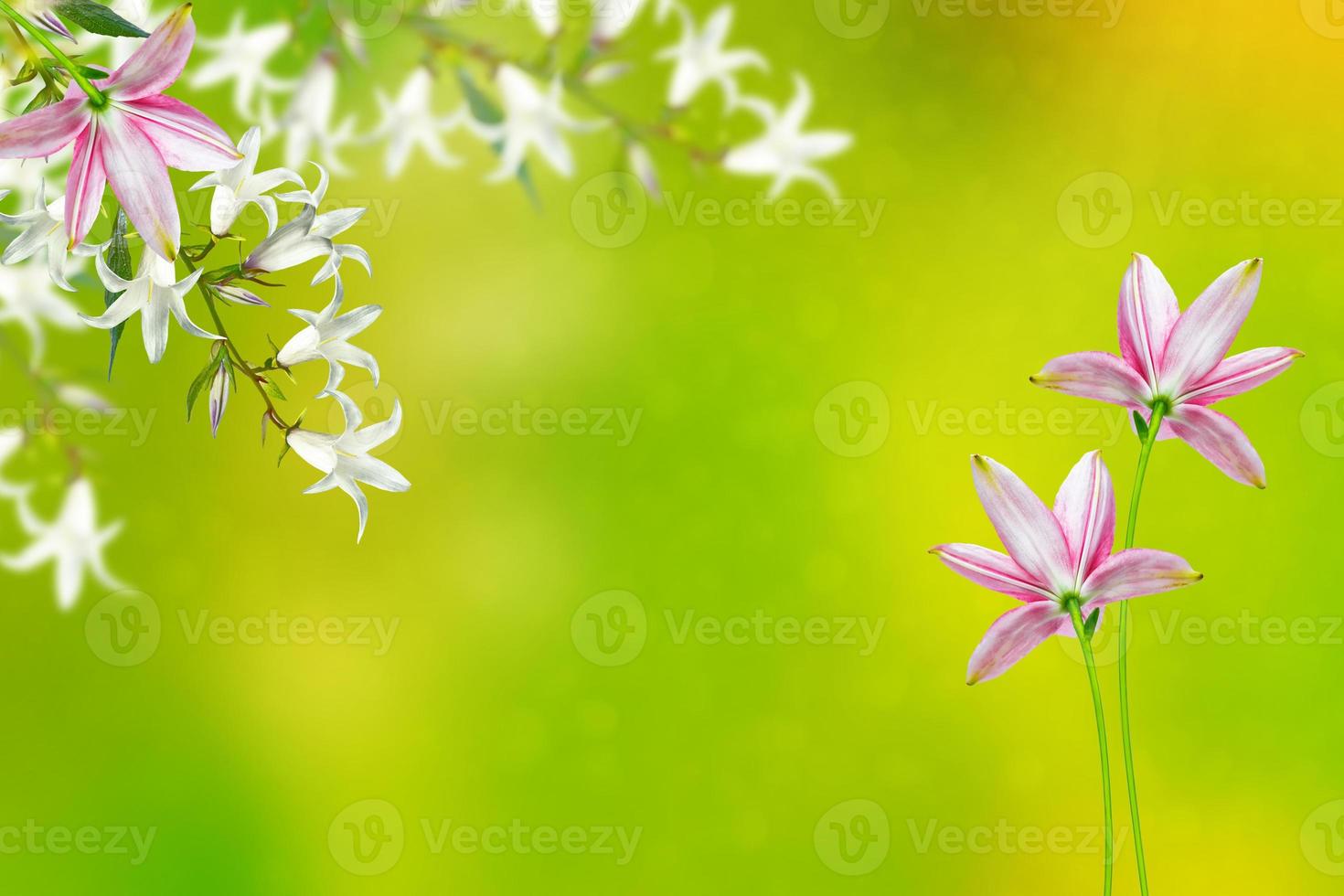 Floral background with bright spring flowers bells photo