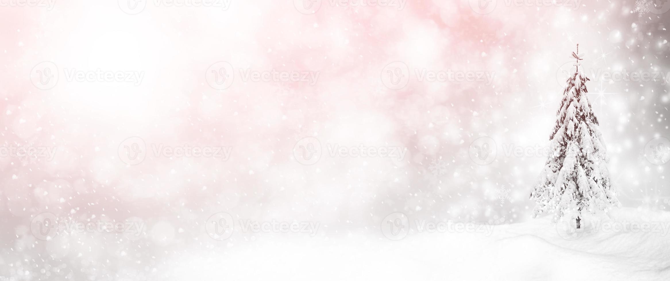 Frozen winter forest with snow covered trees. photo