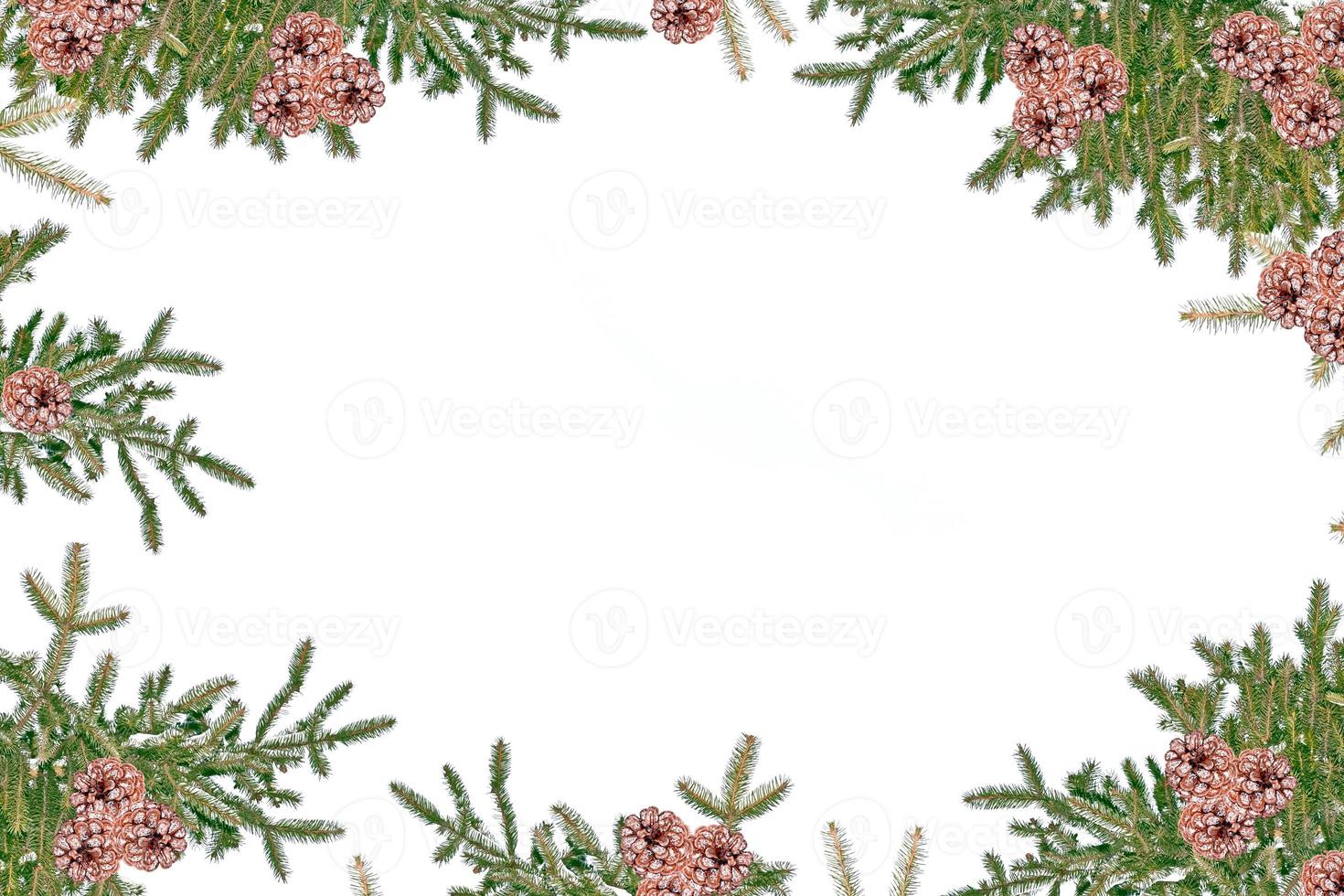 The branches of the snow covered tree Christmas tree photo