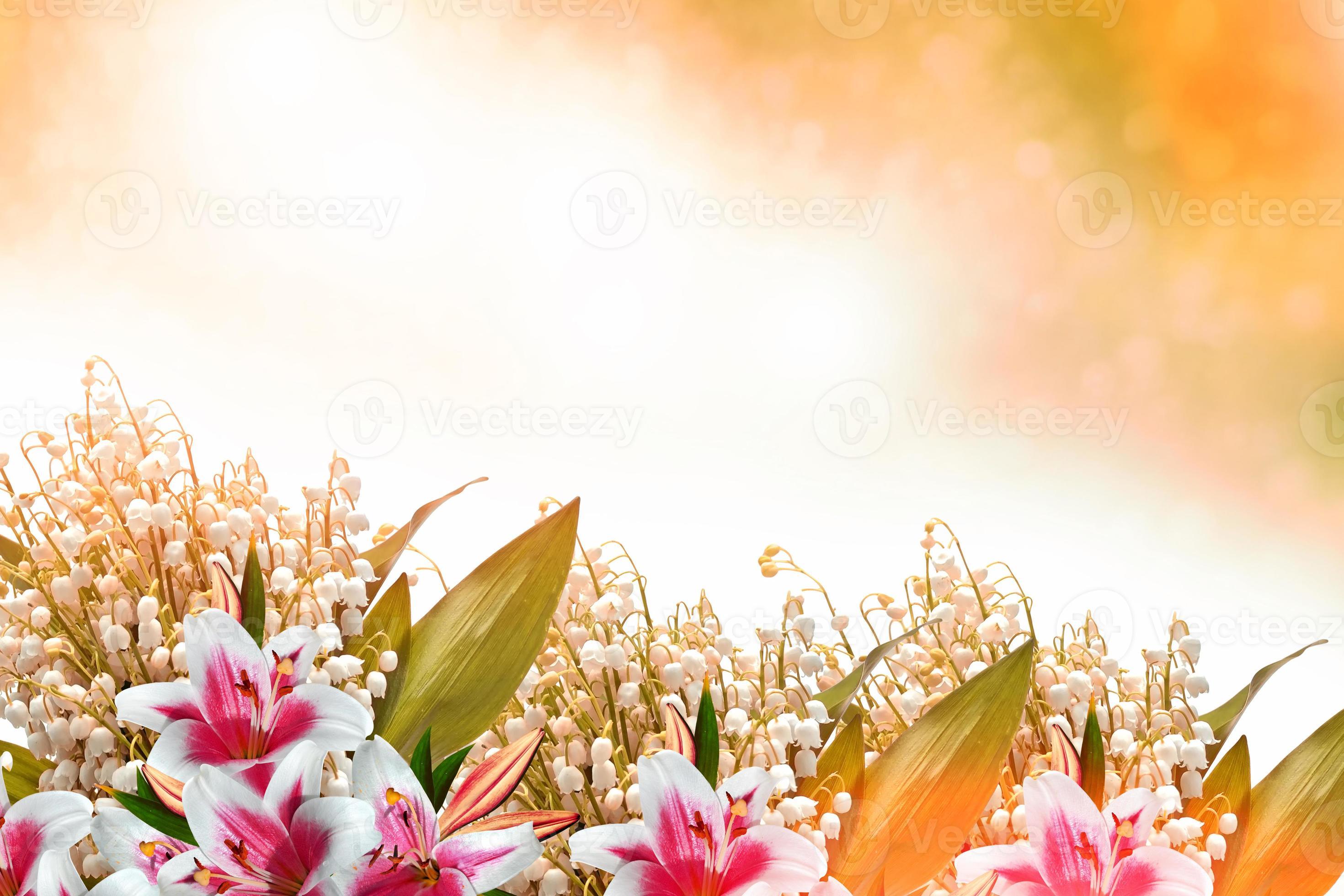 Spring landscape. flowers lily of the valley 10027175 Stock Photo at