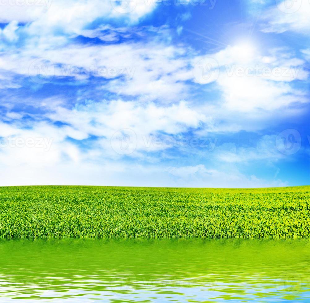 Meadow with green grass on a background of blue sky with clouds photo