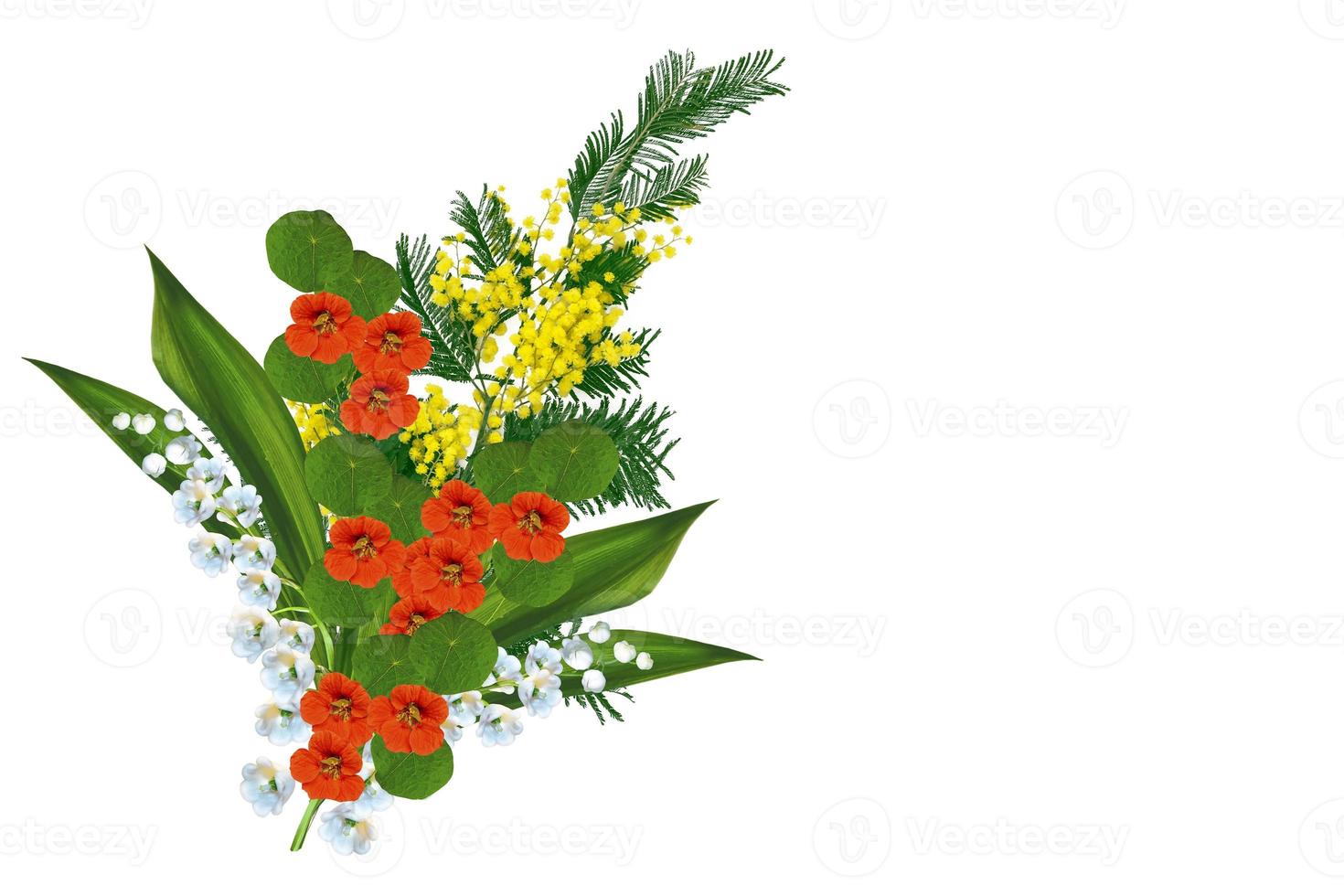 colorful and bright multicolored flowers on a white background. photo