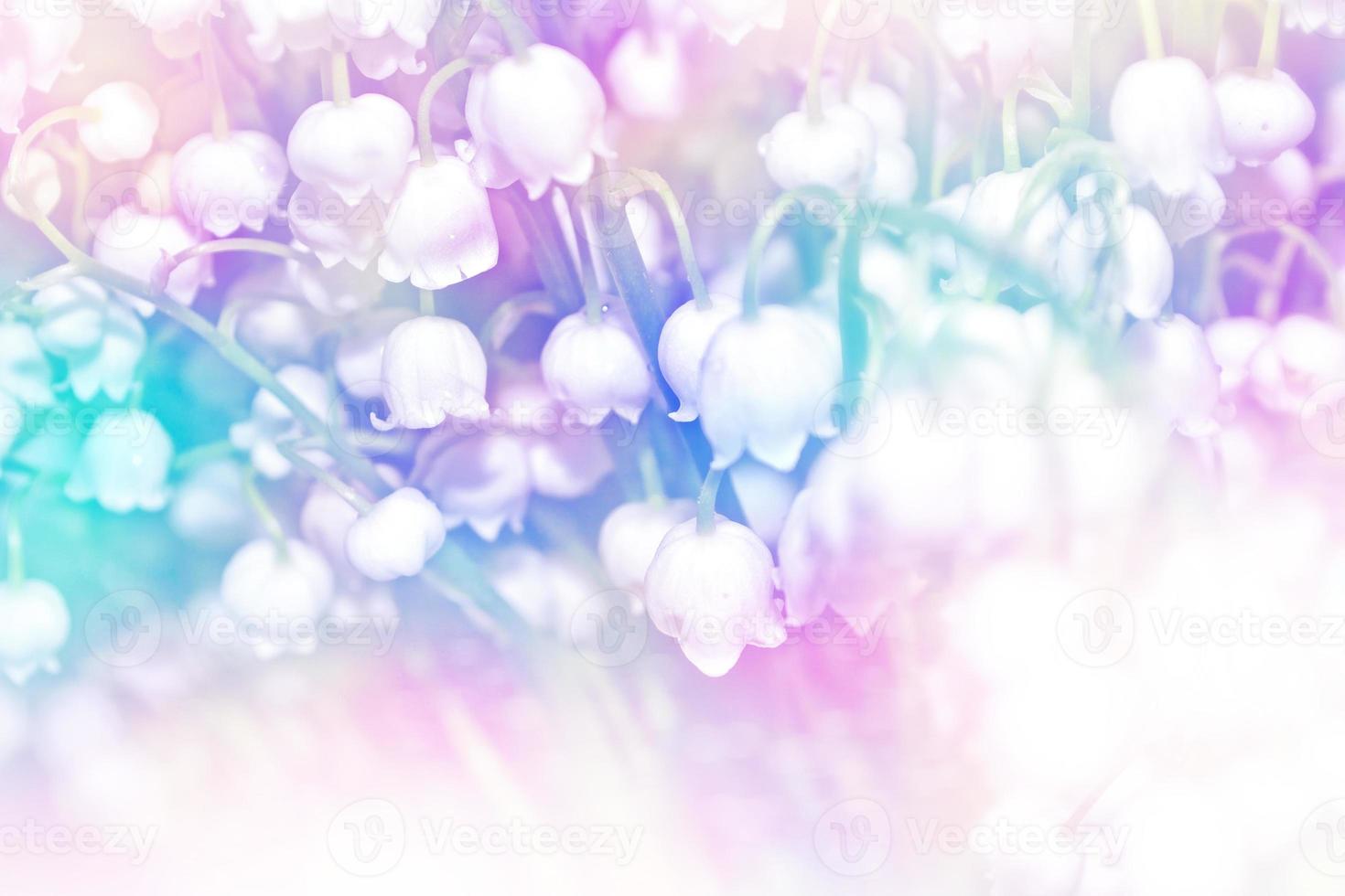 Spring landscape. flowers lily of the valley photo