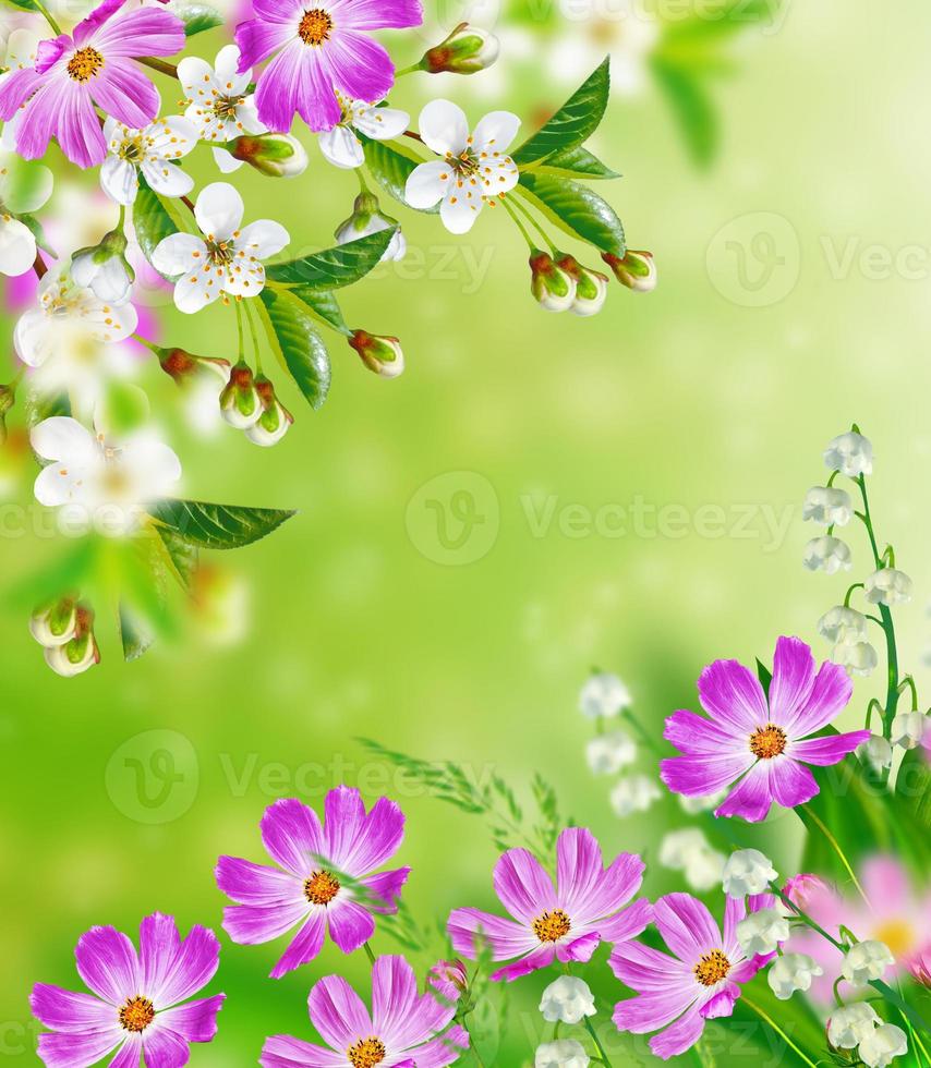 Bright colorful spring flowers. Floral background. photo