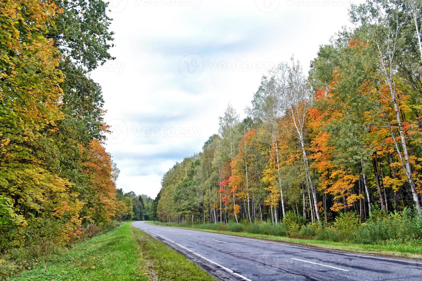 autumn landscape with bright colorful foliage. Indian summer. photo