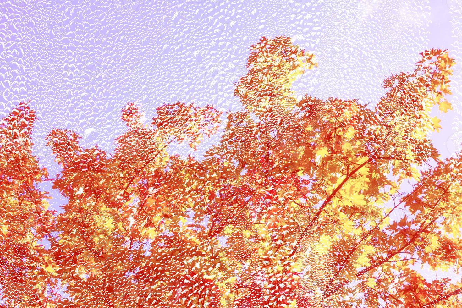 autumn landscape with bright colorful foliage. Indian summer. photo
