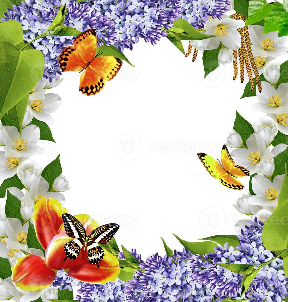 Frame of beautiful spring flowers isolated on white background photo