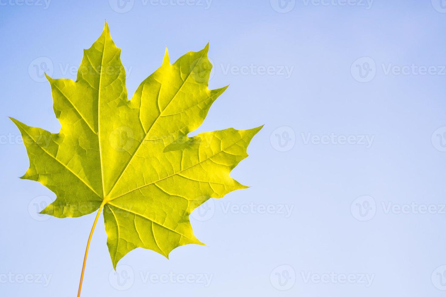 autumn landscape with bright colorful foliage. Indian summer. photo