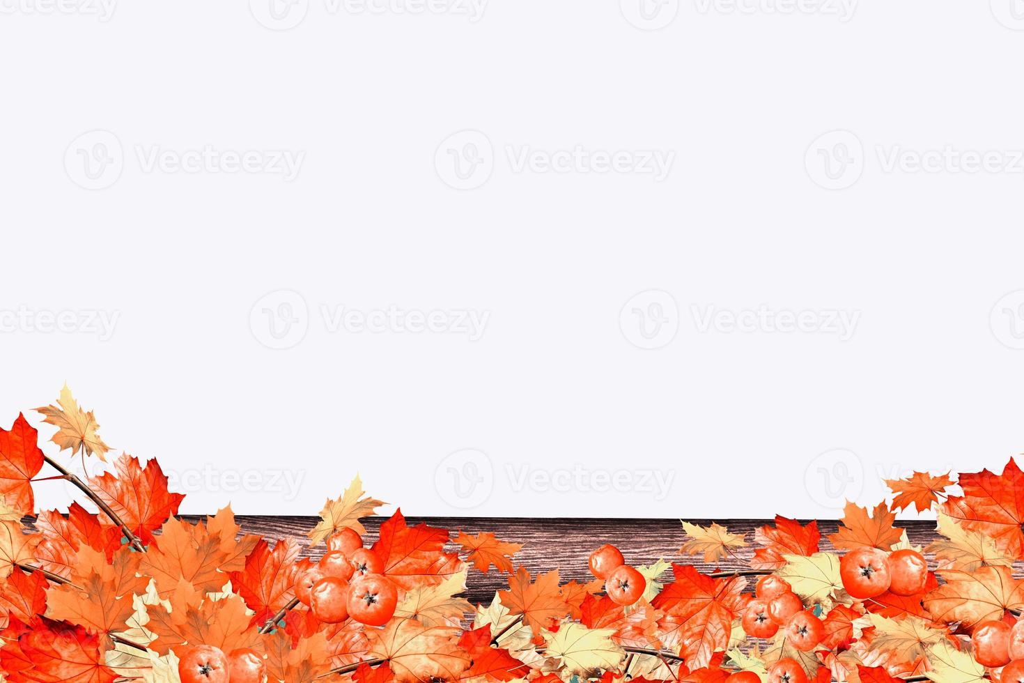 abstract background of autumn leaves photo