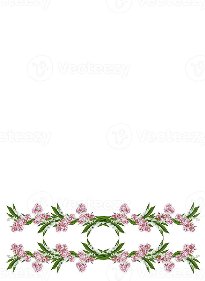 carnation isolated on white background photo