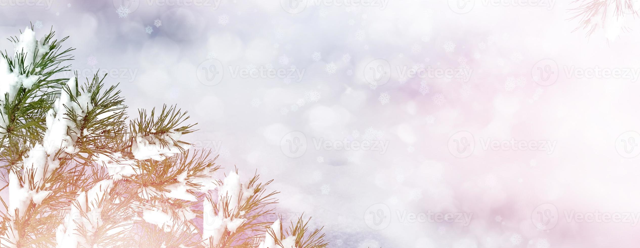 Background of snow. photo