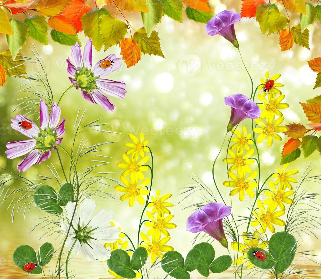 bright colorful flowers and foliage on a background of the summer landscape. photo