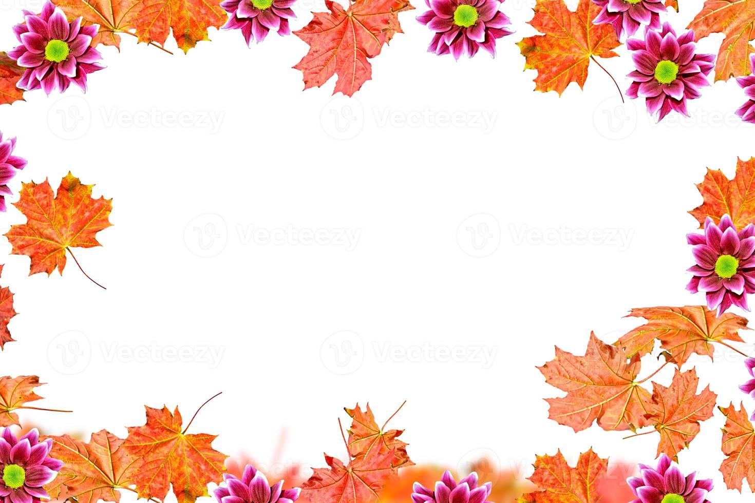 Bright colorful autumn leaves photo