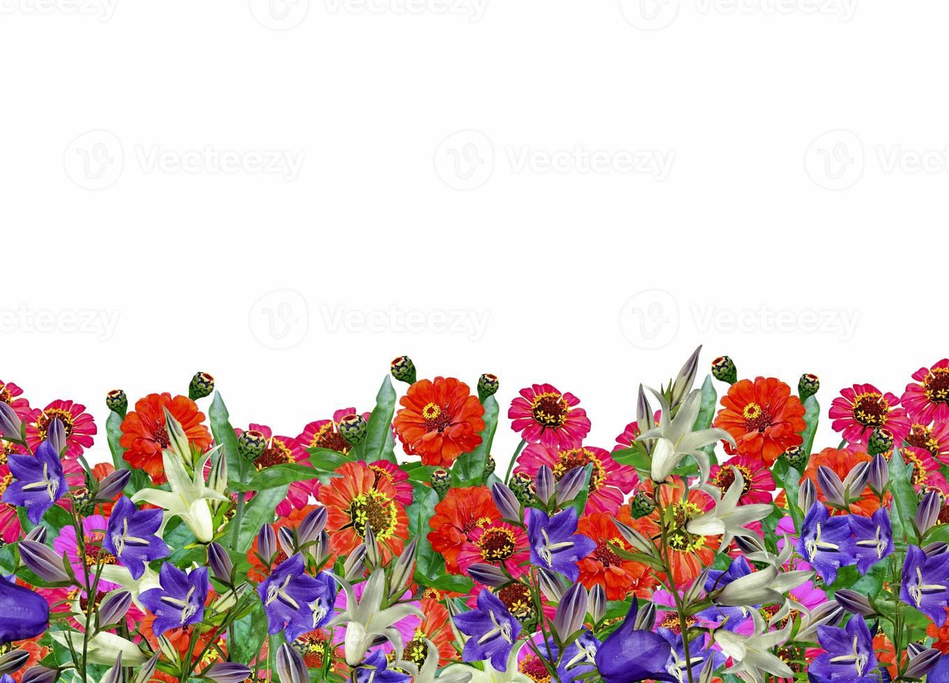 zinnia flowers and bells photo
