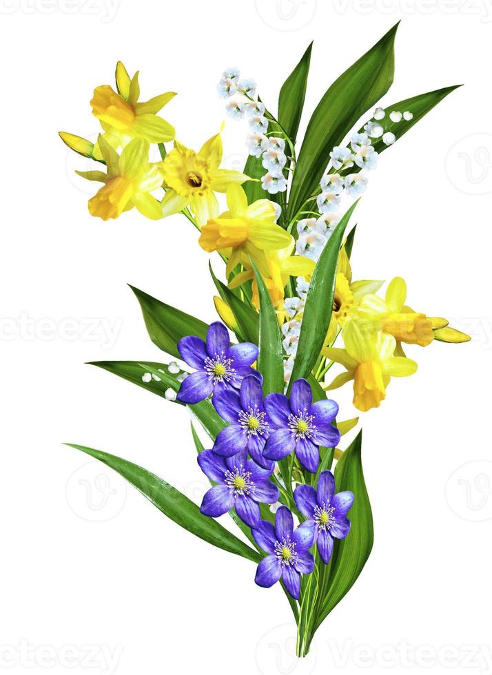 Spring flowers daffodils and lilies of the valley isolated on white background photo