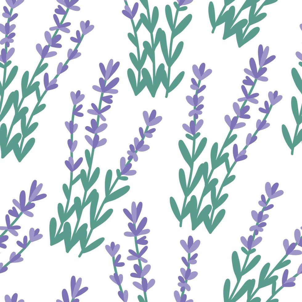 Hand drawn seamless pattern with lavender bunches, flat vector illustration on white background. Cute provence flowers. Purple plant with branch and leaves.