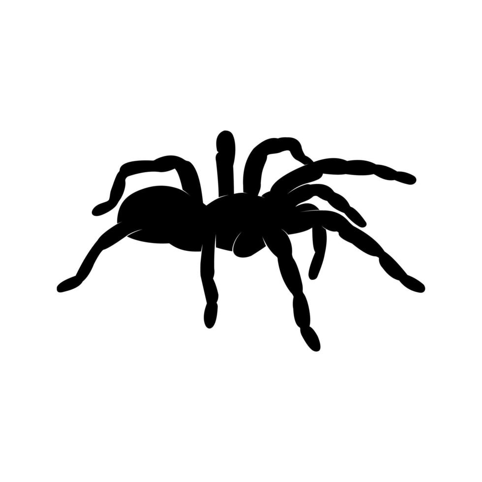 vector de silueta de tarántula