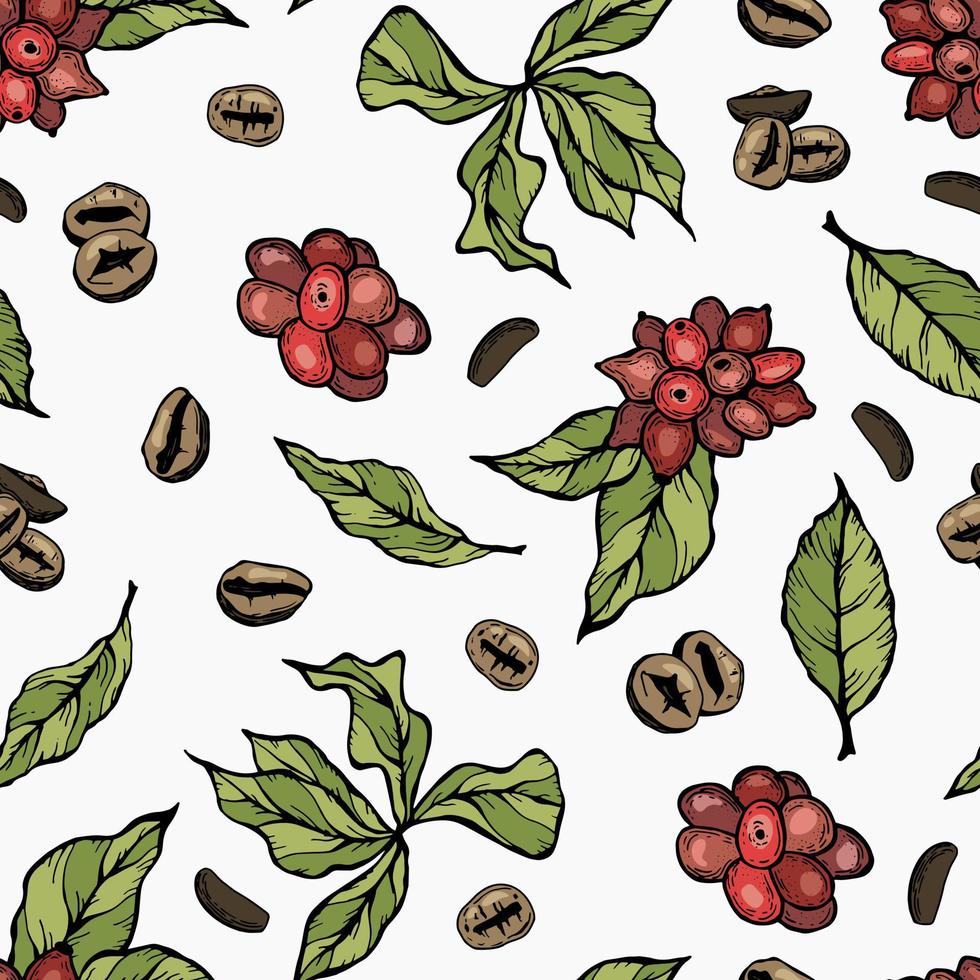 Berries and grains of coffee. Coffee seamless pattern. White background, isolate. Design for fabric, textile, packaging, wallpaper. vector