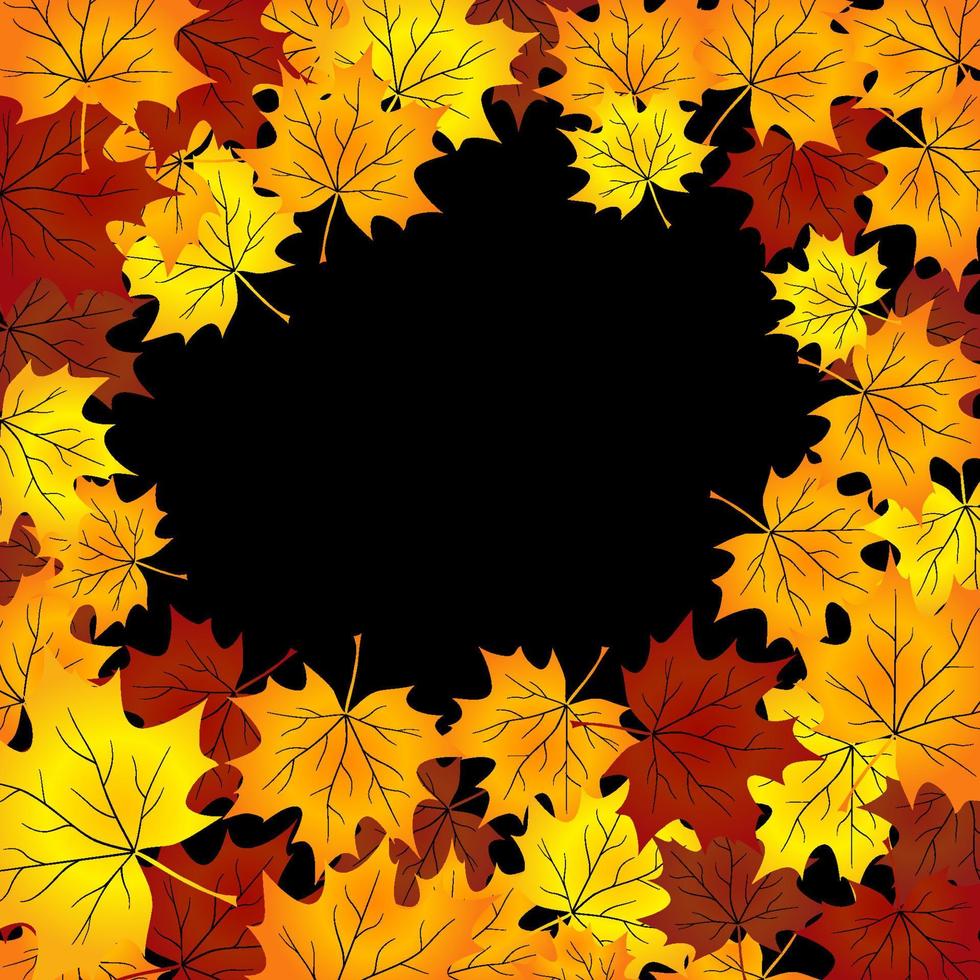 autumn background with maples leaves. vector