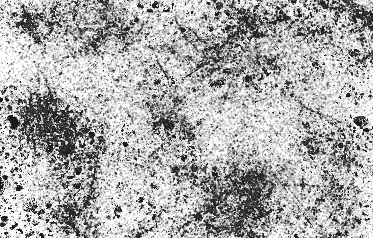 Dust and Scratched Textured Backgrounds.Grunge white and black wall background.Dark Messy Dust Overlay Distress Background. Easy To Create Abstract Dotted, Scratched photo