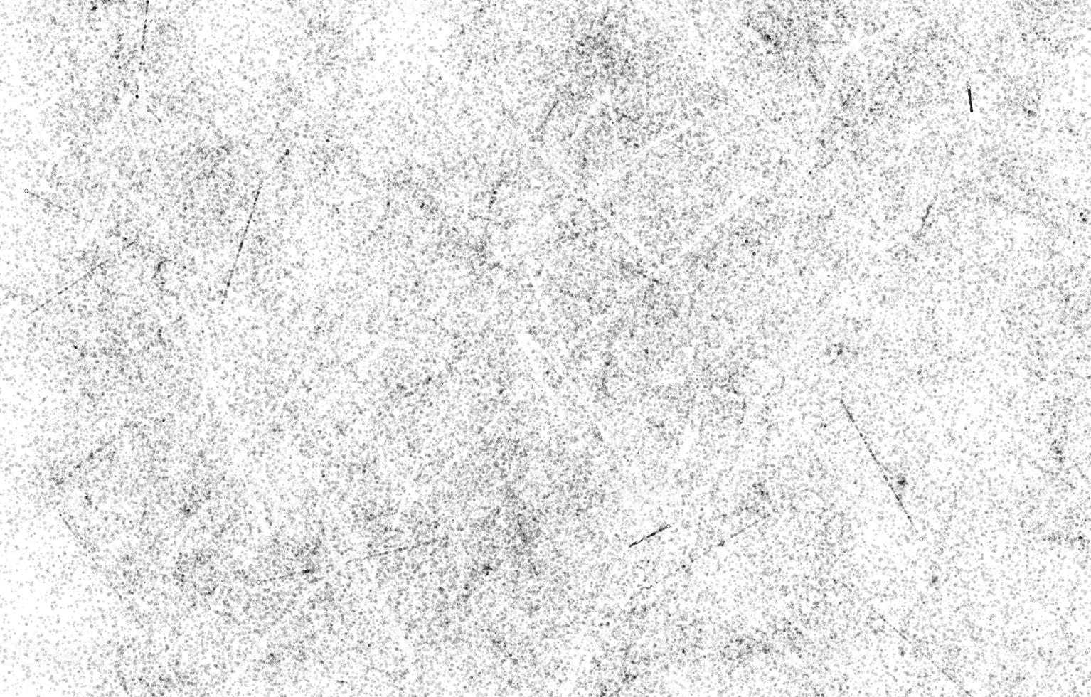 Monochrome particles abstract texture.Overlay illustration over any design to create grungy vintage effect and depth. photo