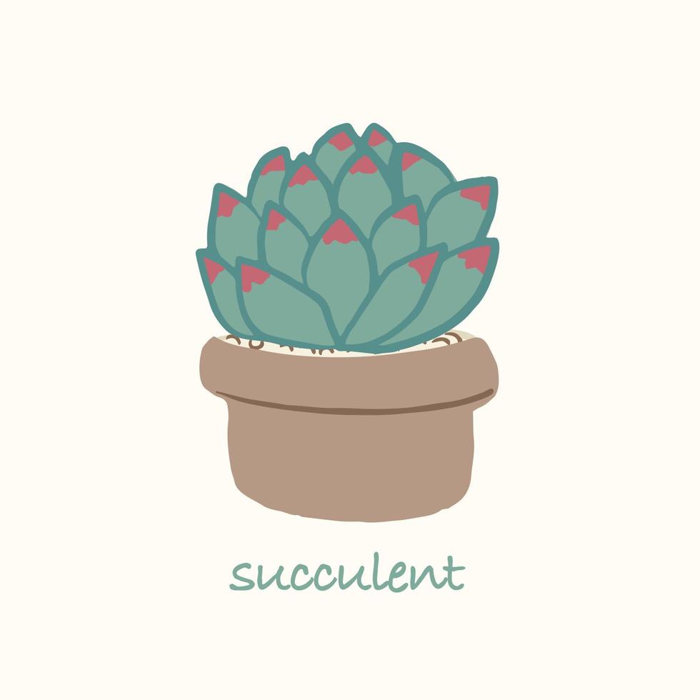 Illustration of hand drawn isolated green succulent in pot vector