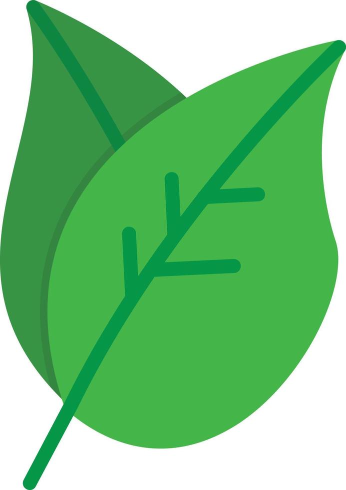 Leaf Flat Icon vector