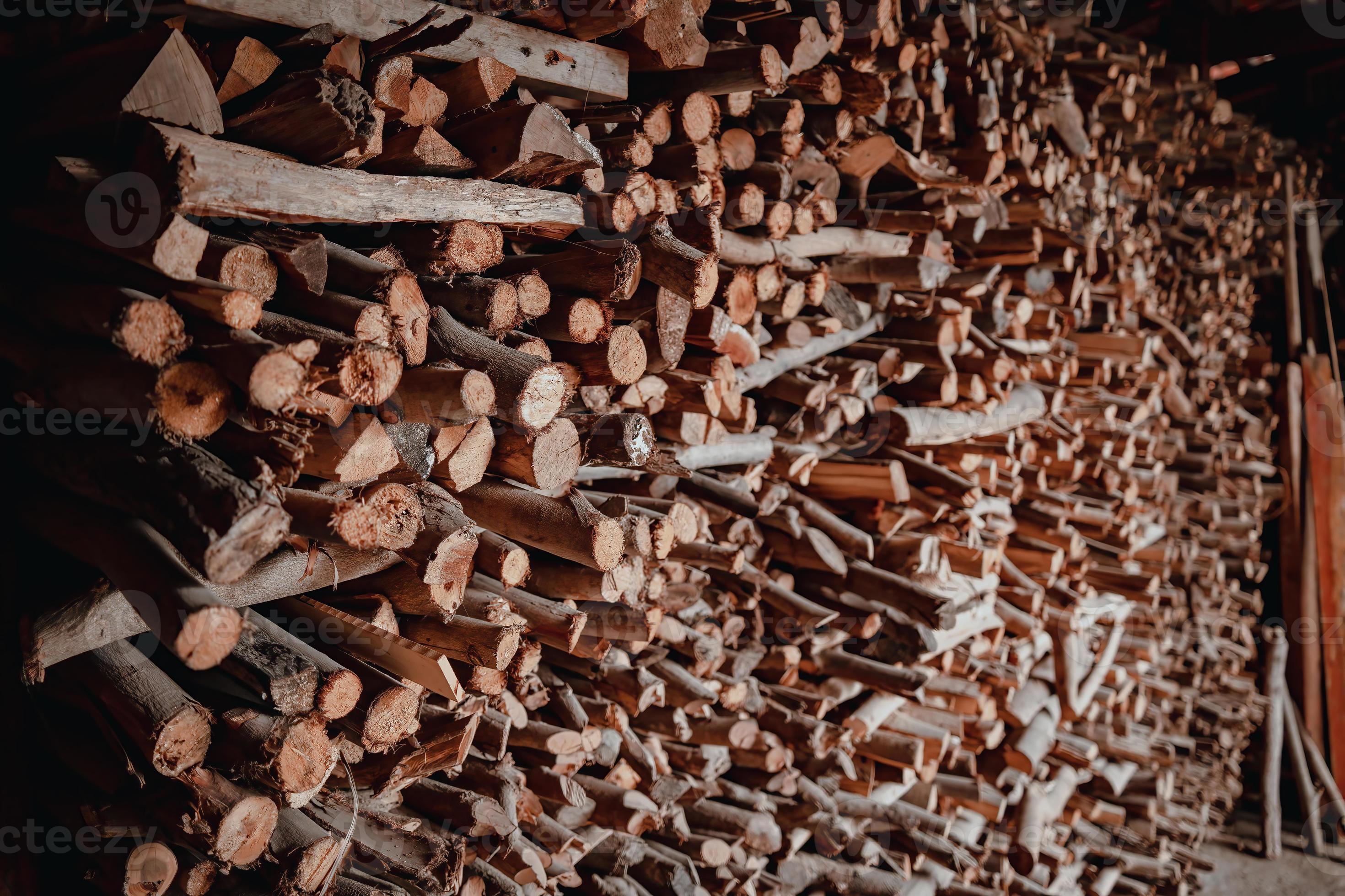 Woodpile fresh cut pine logs at sawmill factory. Big stack of tree