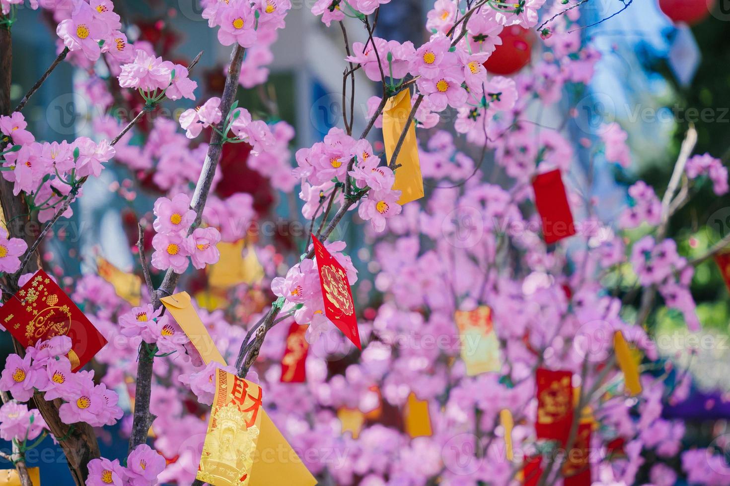 Colorful blossoms bloom in small village before Tet Festival, Vietnam Lunar Year. Peach flower, the symbol of Vietnamese lunar new year photo