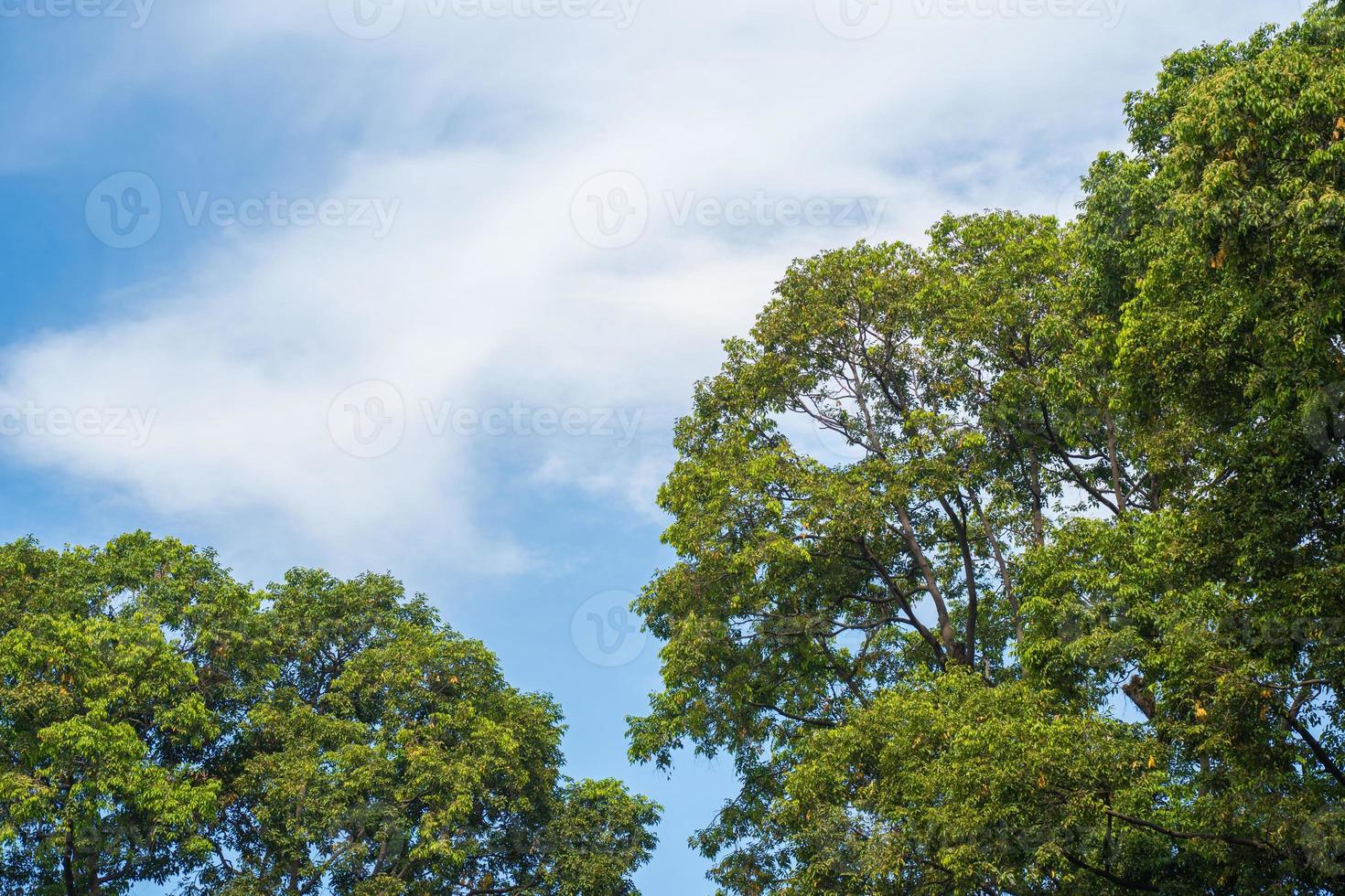 Background cloud summer. Cloud summer. Sky cloud cinematic. Natural sky beautiful and cinematic sunset texture background photo