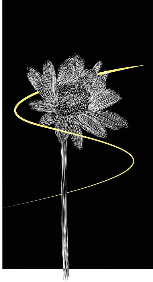 sunflower vector black and white