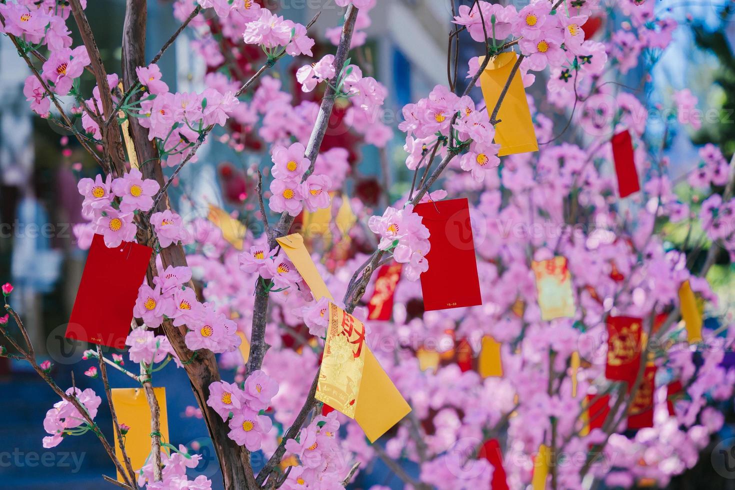Colorful blossoms bloom in small village before Tet Festival, Vietnam Lunar Year. Peach flower, the symbol of Vietnamese lunar new year photo