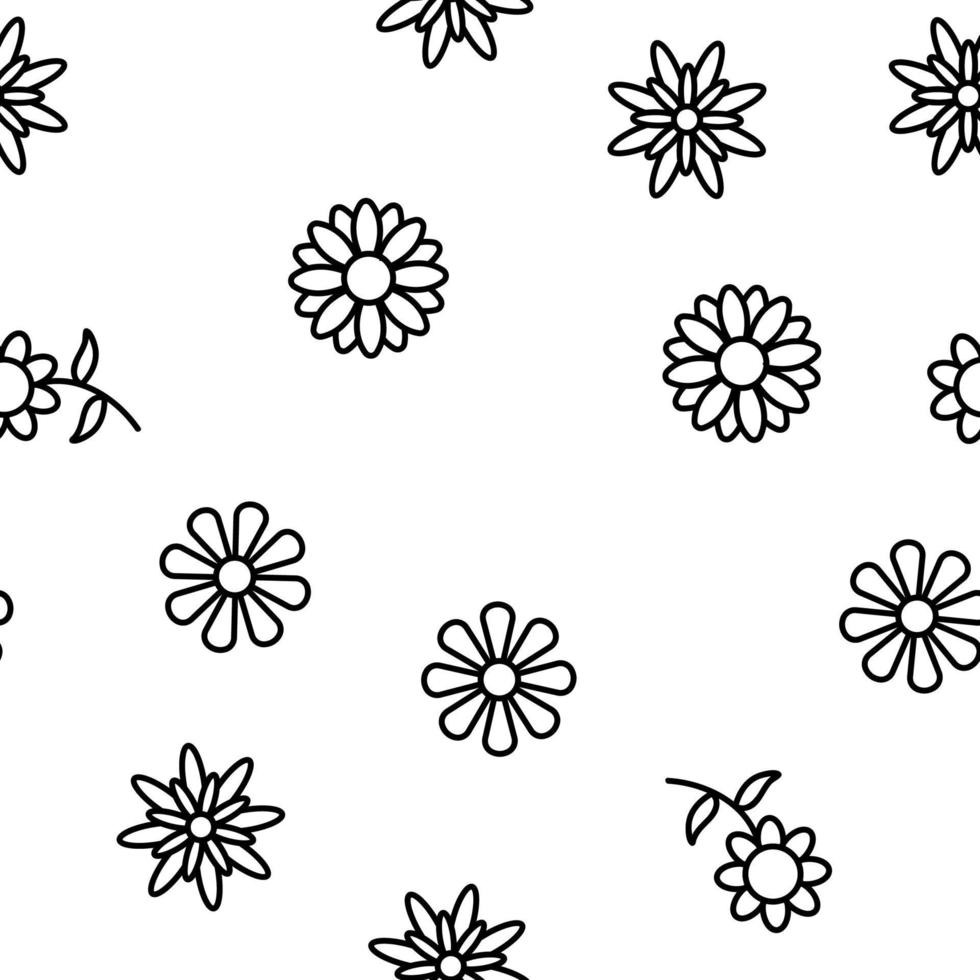 Chrysanthemum Flower Vector Seamless Pattern