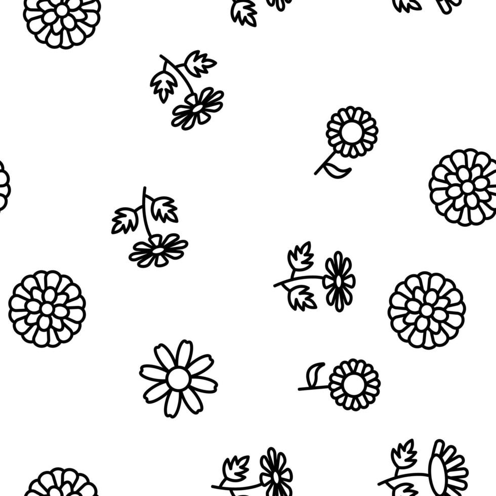 Chrysanthemum Flower Vector Seamless Pattern