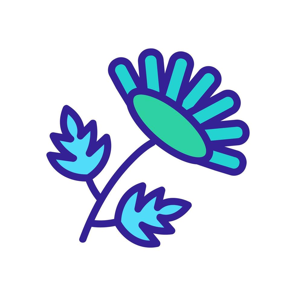 blooming chrysanthemum icon vector outline illustration