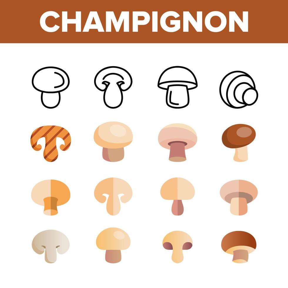 Champignon, Edible Mushroom Vector Linear Icons Set