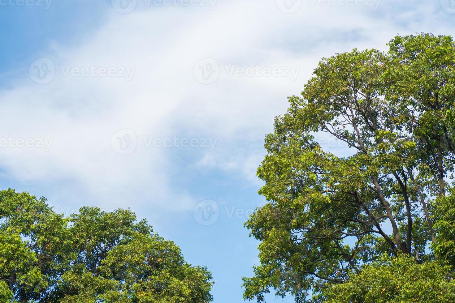 Background cloud summer. Cloud summer. Sky cloud cinematic. Natural sky beautiful and cinematic sunset texture background photo