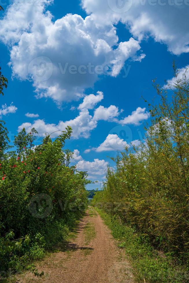 hermosa vista del cielo azul con nubes al amanecer. parcialmente nublado.fondo nube verano. verano de nubes. cielo nublado claro con puesta de sol. cielo natural cinemático hermoso fondo de textura amarillo y blanco foto