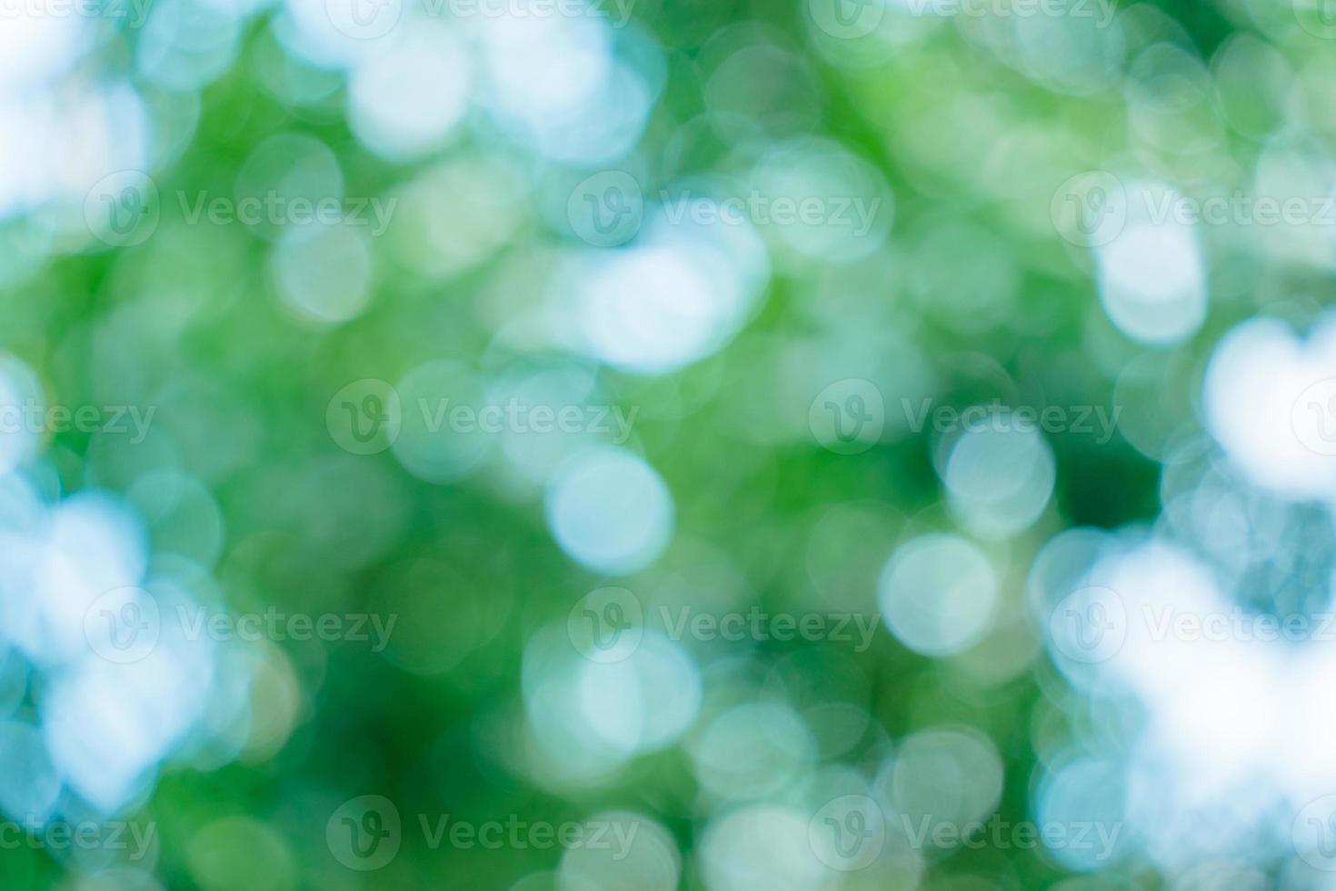 Sunny abstract green nature background. Abstract blur green color for background. Blur natural green leaves bokeh background photo