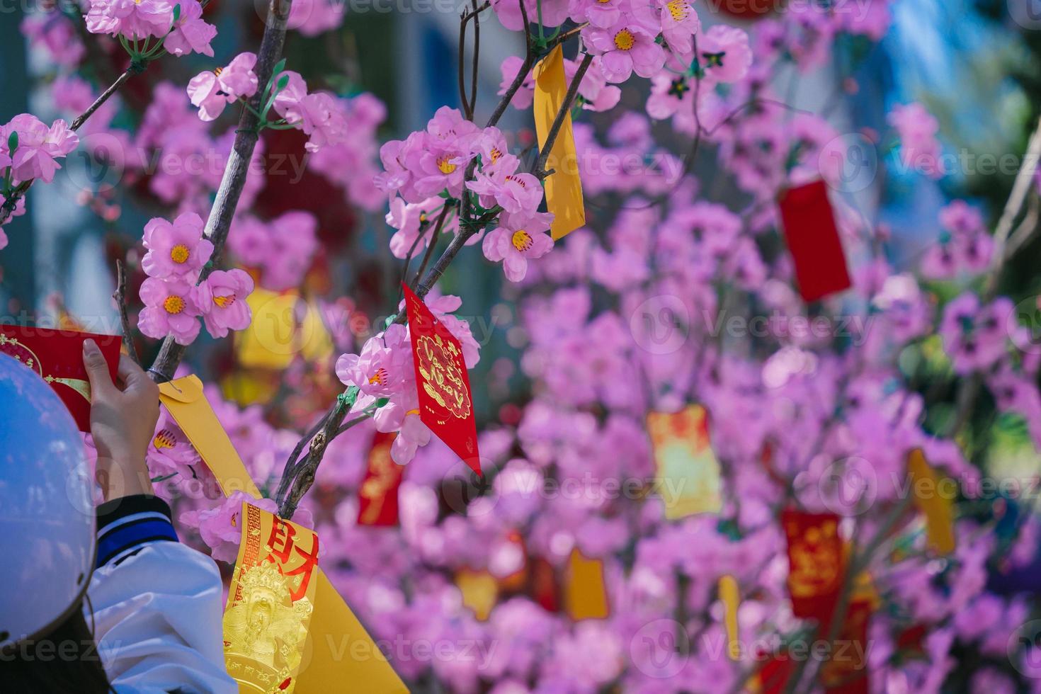 Colorful blossoms bloom in small village before Tet Festival, Vietnam Lunar Year. Peach flower, the symbol of Vietnamese lunar new year photo